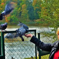 Люба и голуби... :: Sergey Gordoff