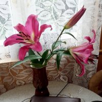 Лилия в вазе! :: ирина 