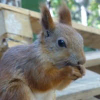 В парке Горького :: Наиля 