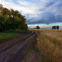 Ненастье  над  полем :: Геннадий Супрун