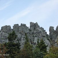 Откликной гребень. :: Александр Иванов