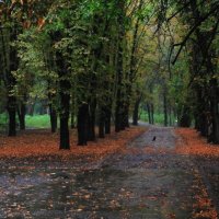 ...и каркнуть не на кого :: Юрiй Гайворонскiй