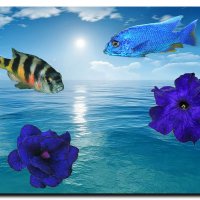 Рыбки,море и цветы. :: Олег Петрушин