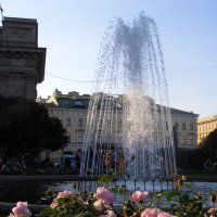 В лучах заката. :: Татьяна 