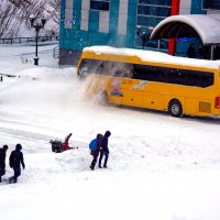Снежку навалило. :: Николай Тишкин