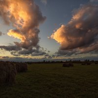 Вечернее... :: Елена Струкова