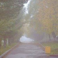 Осенние туманные зарисовки на ретро объектив  :: Владислав Левашов