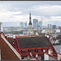 Tallinn :: Jossif Braschinsky