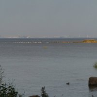 Берег Финского залива :: Владимир Гилясев