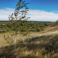 Осень :: Вера Сафонова