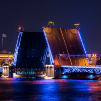 Санкт-петербург. Дворцовый мост :: Роман 