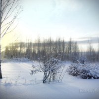 первый опыт . зимний пейзаж :: Elena Zhivoderova 