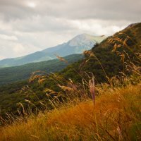 . :: Солнечная Лисичка =Дашка Скугарева