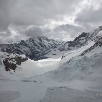 Glacier :: Wattletree -