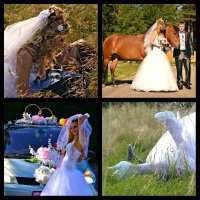 свадьба :: Екатерина Борисова