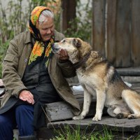 Преданность :: Алёна Михеева