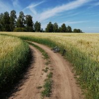 Вот, новый поворот :: Андрей Гамарник