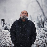 Первый снег :: Андрей Хитайленко