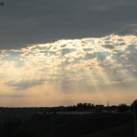 Лучи :: Ольга Сельницына