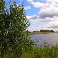 Озеро Вьюны, Беларусь :: Владимир Невмержицкий