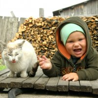 тяжела и неказиста жизнь кота-мазахиста :: Евгения Шикалова