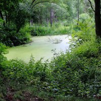 В Белгородском зоопарке (5) :: Алла Григоренко