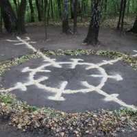 Моя картина в осеннем лесу. :: Василий Капитанов