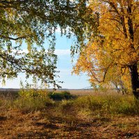 Осень  в  Зелёной  Роще :: Геннадий Супрун