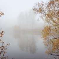 Туман. :: Галина Шепелева