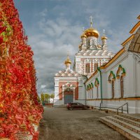 осенние цвета :: дмитрий посохин