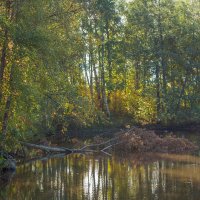 Уголок старого парка (15) :: Виталий 