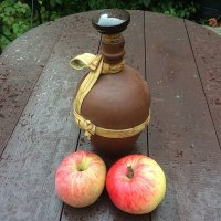 Последние  яблоки осеннего сада! :: Виталий Селиванов 