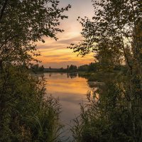 Окно природы :: Александр Попович