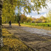 В городе осень :: Галина Новинская