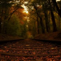 Дорога в Осень :: Alexander Andronik
