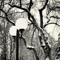 Sculpture tree. :: Андрий Майковский