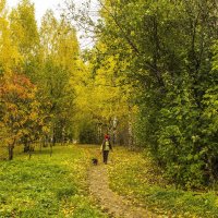 В старом парке вновь колдует осень :: Галина Новинская