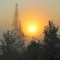 Восход в тумане :: Сергей Чиняев 