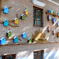 Птичий дом в Костроме :: Надежда 