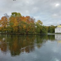 Осень :: Сапсан 