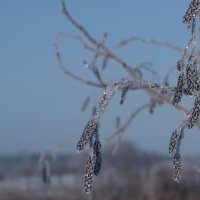 Очей очарование :: Юрий Карелин 