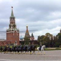 Кремлевский полк :: Елена Аксамит