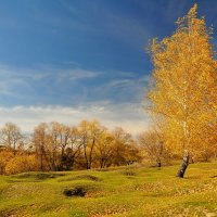 Золотая осень :: Владимир Зыбин