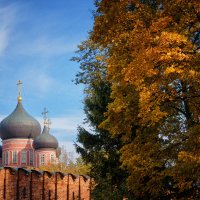 Донской монастырь :: Михаил Танин 