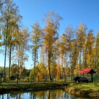 Березинский заповедник.Беларусь :: Марина Ворошко (Митьковец)