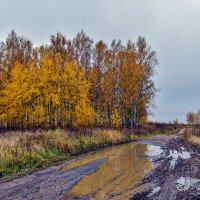 Золотая осень... :: АЛЕКСАНДР СУВОРОВ