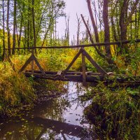 Мосток над лесной речкой :: Сергей Цветков