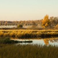 Сама природа свой пейзаж рисует... :: ТатьянА А...