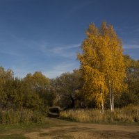 Березы желтою резьбой блестят в лазури голубой...(Иван Бунин) :: ТатьянА А...