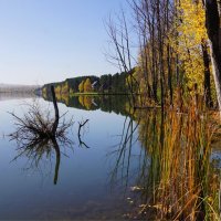 На рыбалке :: Наталия Григорьева